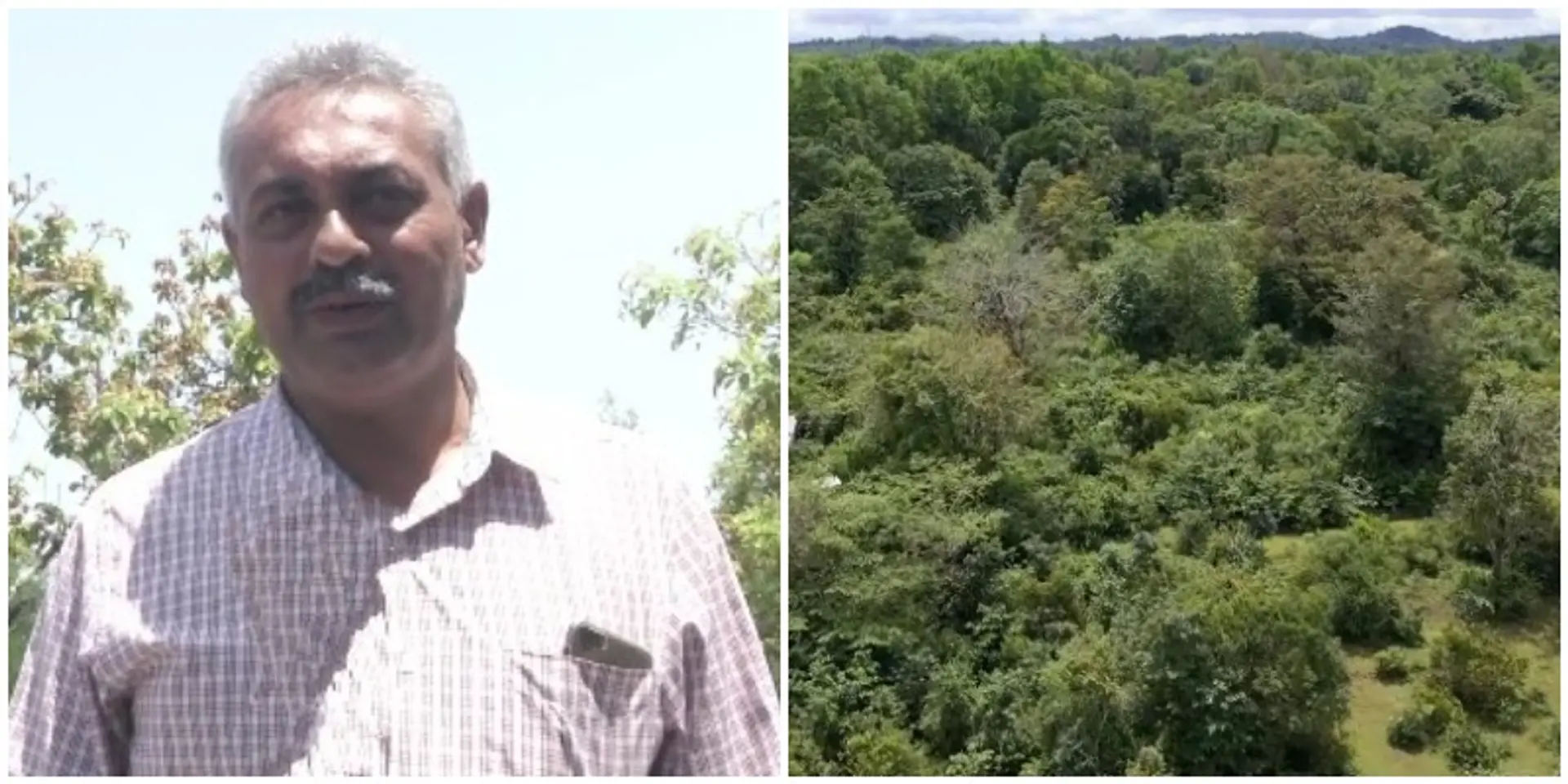 कर्नाटक के इस 'ईको आंत्रप्रेन्योर' ने 21 एकड़ बंजर जमीन को बना दिया हरा-भरा जंगल