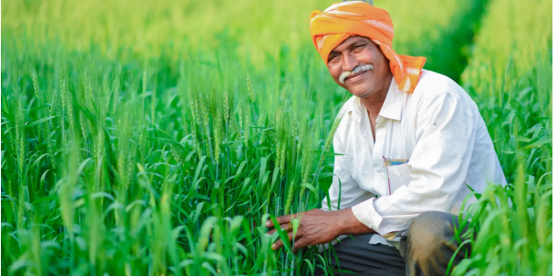 किसान दिवस: देश के अन्नदाताओं के लिये है ये कुछ खास सरकारी योजनाएं, जिनका लाभ लेकर किसान बढ़ा सकते हैं अपनी आमदनी