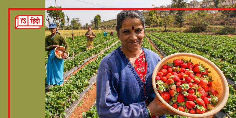 45,000 महिला किसानों की आजीविका सुधारने के बाद Walmart Foundation अब 60 FPO को देगा 16 करोड़ रुपये