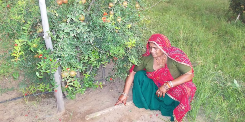 दीमक से फसलें बचाने के लिए महिला किसान भगवती देवी ने किया अद्भुत अनुसंधान
