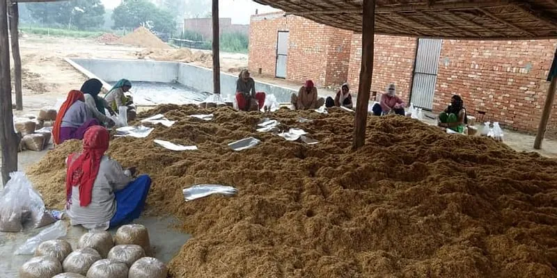 मशरूम की खेती ने क्षेत्र के कई लोगों को रोजगार उपलब्ध कराया है।