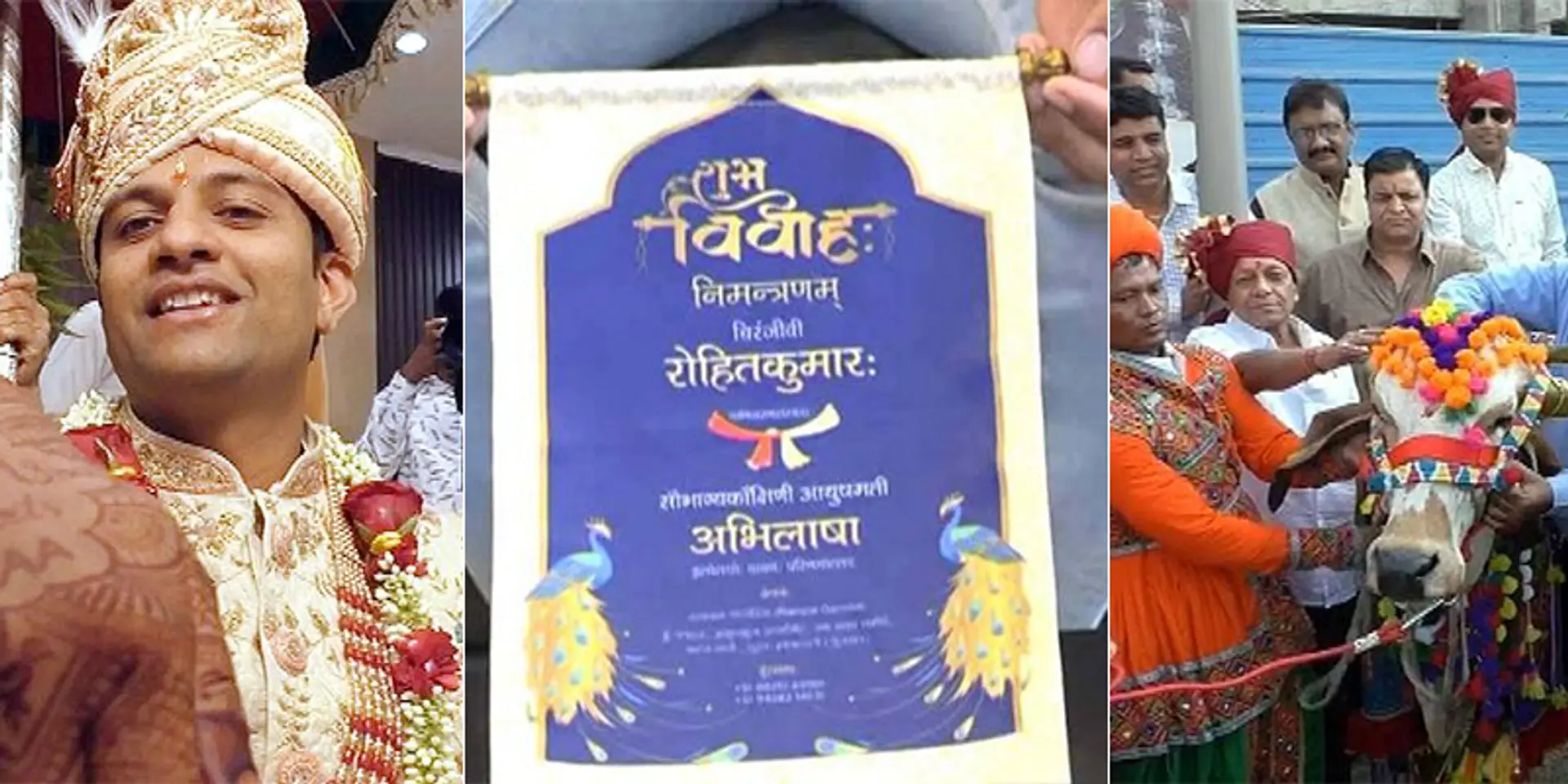 दूल्हे के हाथों में CAA वाली मेहंदी, गाय-बछड़ा बने बाराती, चर्चा का विषय बनी सूरत की यह शादी