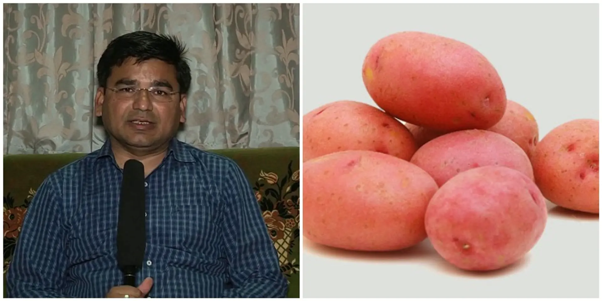 जानें कैसे 'खास' आलू के उत्पादन से सालाना 25 करोड़ रुपये कमा रहा है गुजरात का यह किसान?