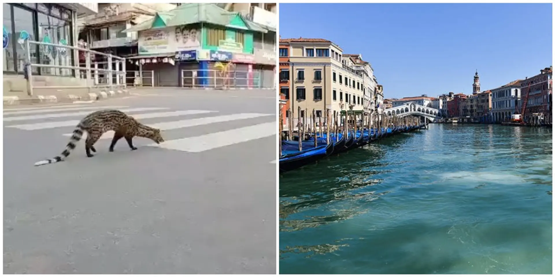लॉकडाउन से हुए कुछ बेहद खास फायदे, जो पहले शायद संभव ही नहीं थे