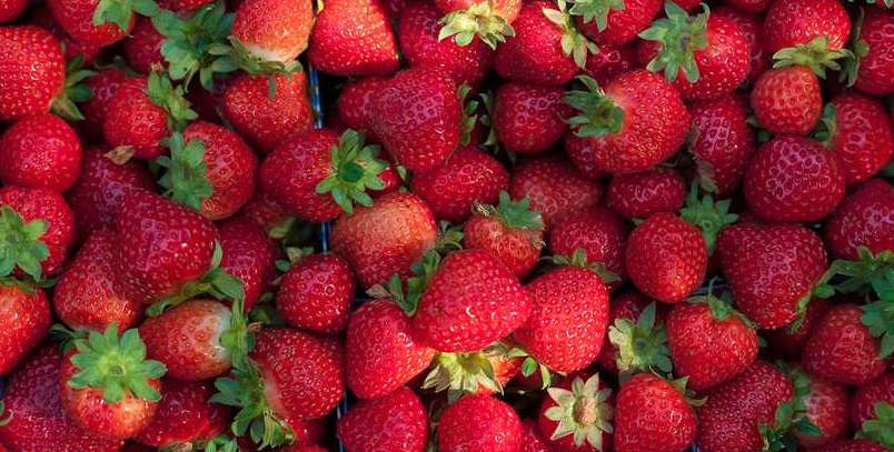 मल्टीनेशनल कंपनी की नौकरी ठुकरा स्ट्रॉबेरी की खेती से की छह माह में 20 लाख की कमाई