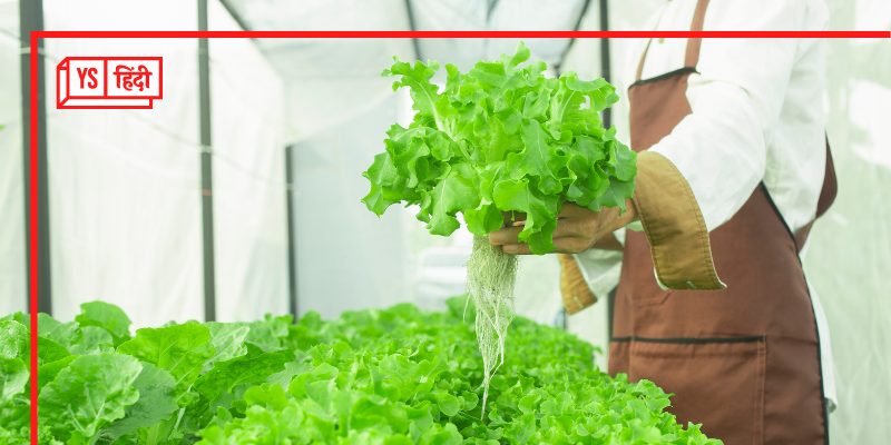 Hydroponic Farming: बालकनी-छत से लेकर बेसमेंट तक में उगाएं सब्जियां, जानिए कैसे होती है ये बिना मिट्टी वाली खेती