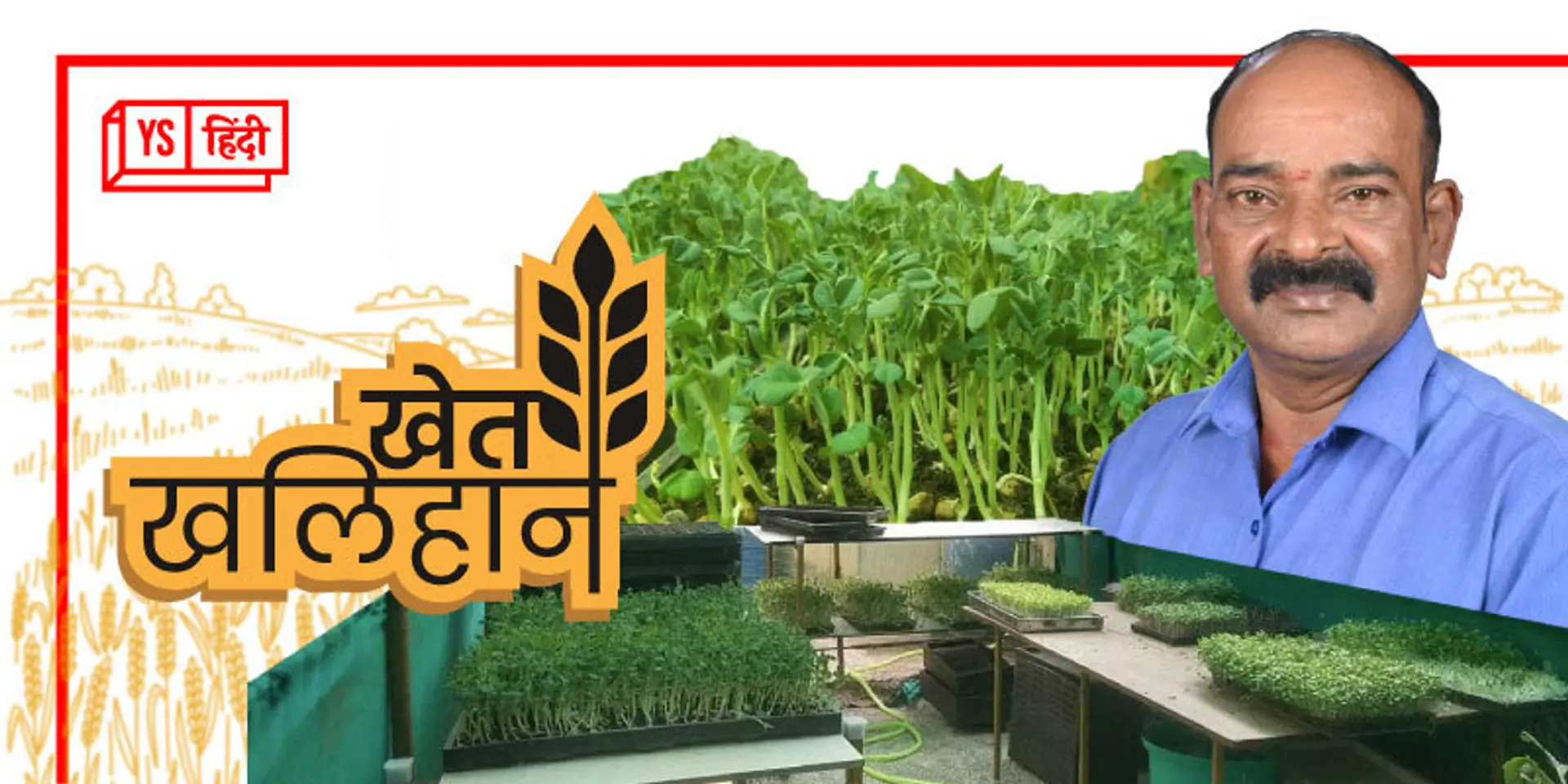 बस 10 हजार में शुरू किया माइक्रोग्रीन बिजनेस, आज हर महीने कमाते हैं 80 हजार रुपये तक