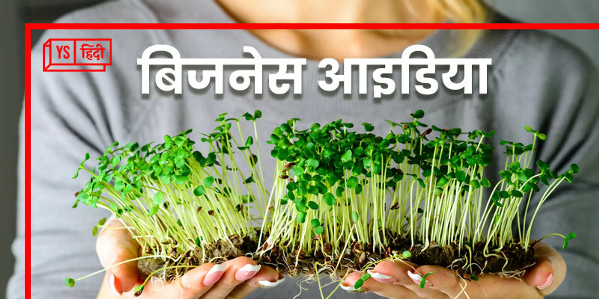 Business Idea: छोटे से कमरे में करें माइक्रोग्रीन की खेती, ये है घर बैठे हर महीने 50 हजार तक कमाने वाला बिजनेस आइडिया