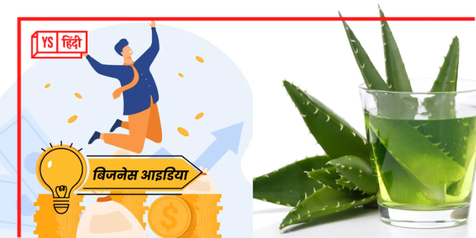 ऐलोवेरा की खेती से होगा 4-8 गुना तक मुनाफा, प्रोसेसिंग प्लांट लगा कर और बढ़ जाएगी कमाई