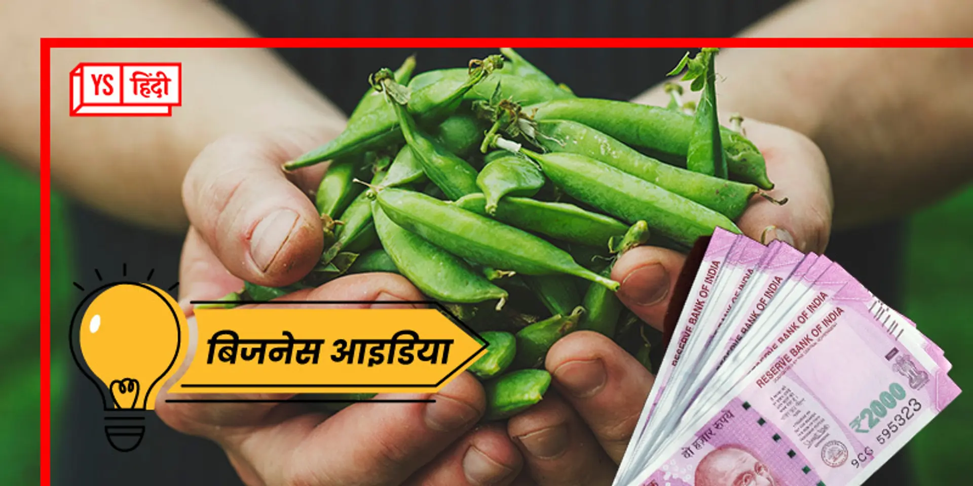 Green Peas Farming: बस 4 महीने में दोगुना मुनाफा, किसानों की कमाई बढ़ाने वाला Business Idea