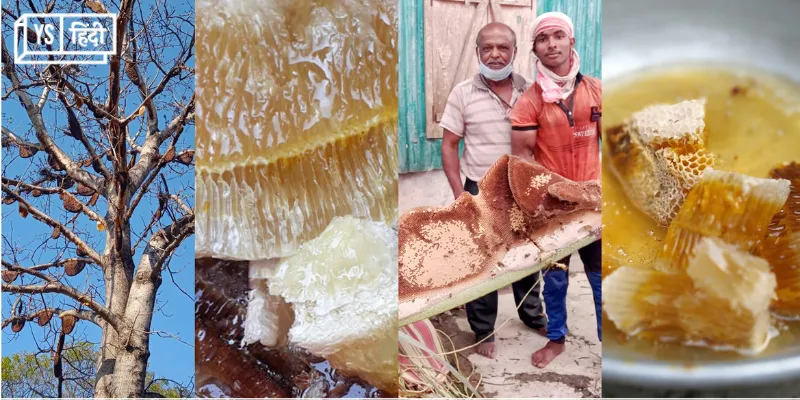 honey business