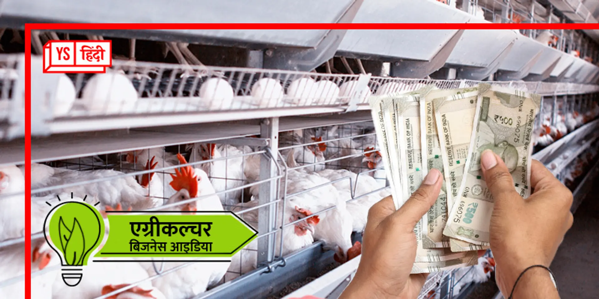 जानिए कैसे शुरू करें पॉल्ट्री फार्म बिजनेस और कमाएं मुनाफा, सरकार से सब्सिडी भी मिलेगी!