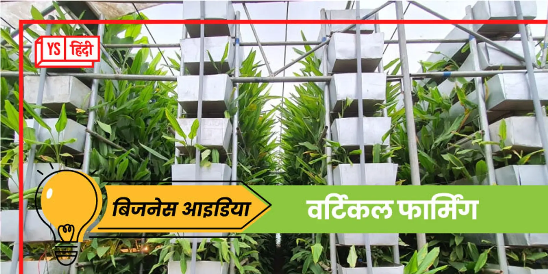 Business Idea: वर्टिकल फार्मिंग से 1 एकड़ में पा सकते हैं 100 गुना हल्दी, हर साल होगा करीब 2 करोड़ का फायदा