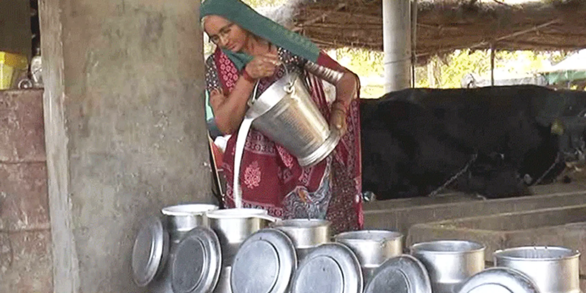 घरेलू डेयरी से हर माह लाखों कमा रहीं गुजरात की कानुबेन चौधरी