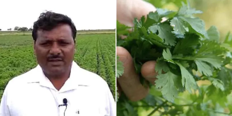 धनिया की खेती