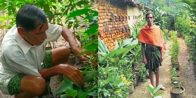 65 साल के इस किसान ने उगाये 3 हज़ार तरह के औषधीय पौधे, पीएम मोदी ने की तारीफ