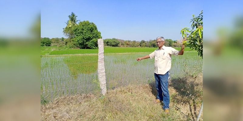इस किसान ने 400 एकड़ अनुपजाऊ भूमि का कर दिया कायाकल्प, अब हो रही है गन्ने की बम्पर पैदावार