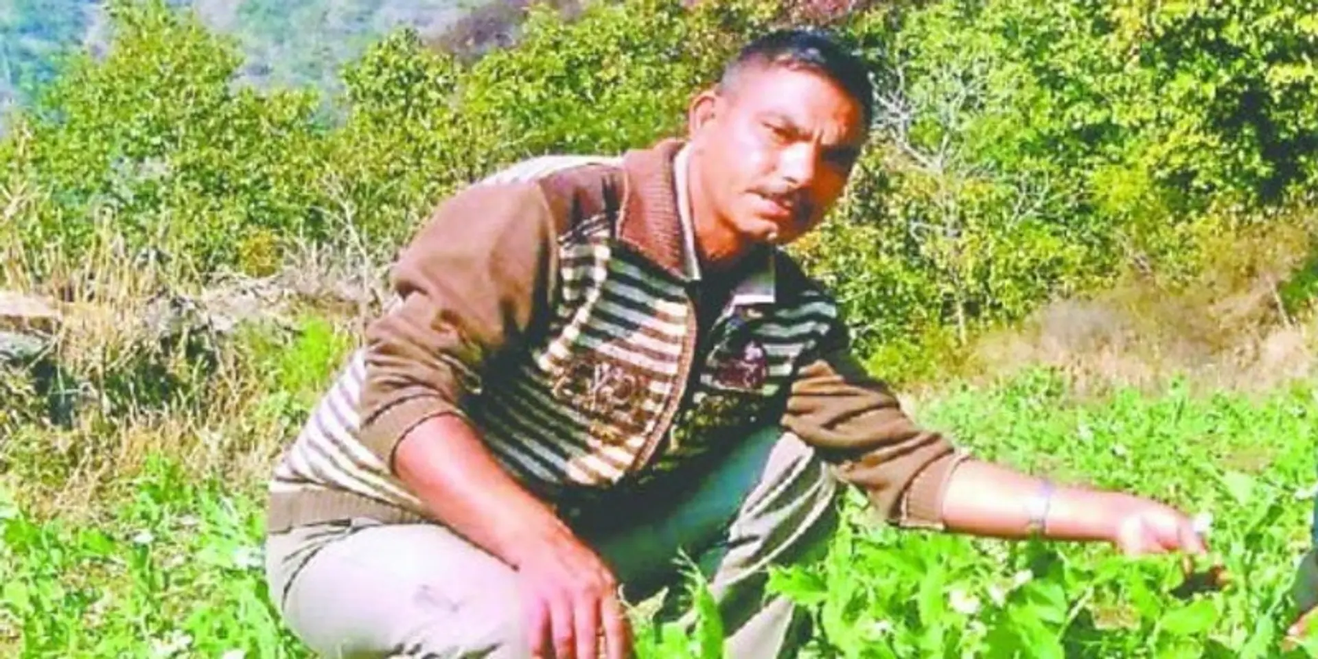 रिटायर्ड फौजी बिरेंद्र की हाड़तोड़ मशक्कत से लहलहाने लगे पहाड़ के ठूंठ बंजर