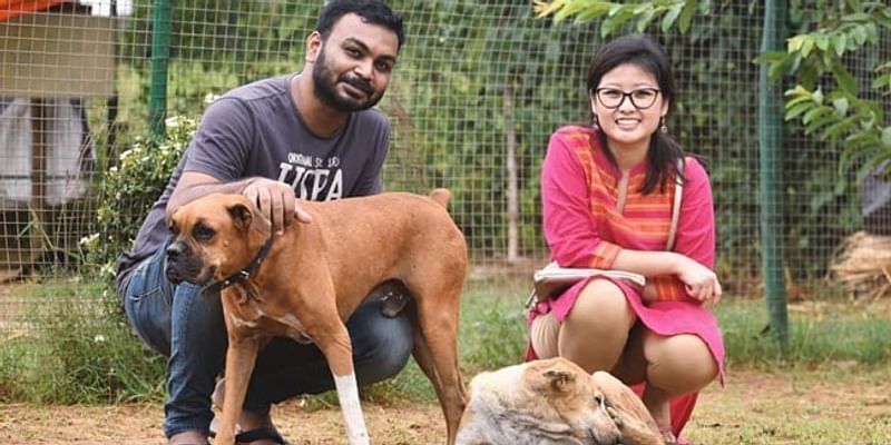 ओडिशा के इस कपल ने 500 आवारा कुत्तों को खाना खिलाकर मनाया अपनी शादी का जश्न