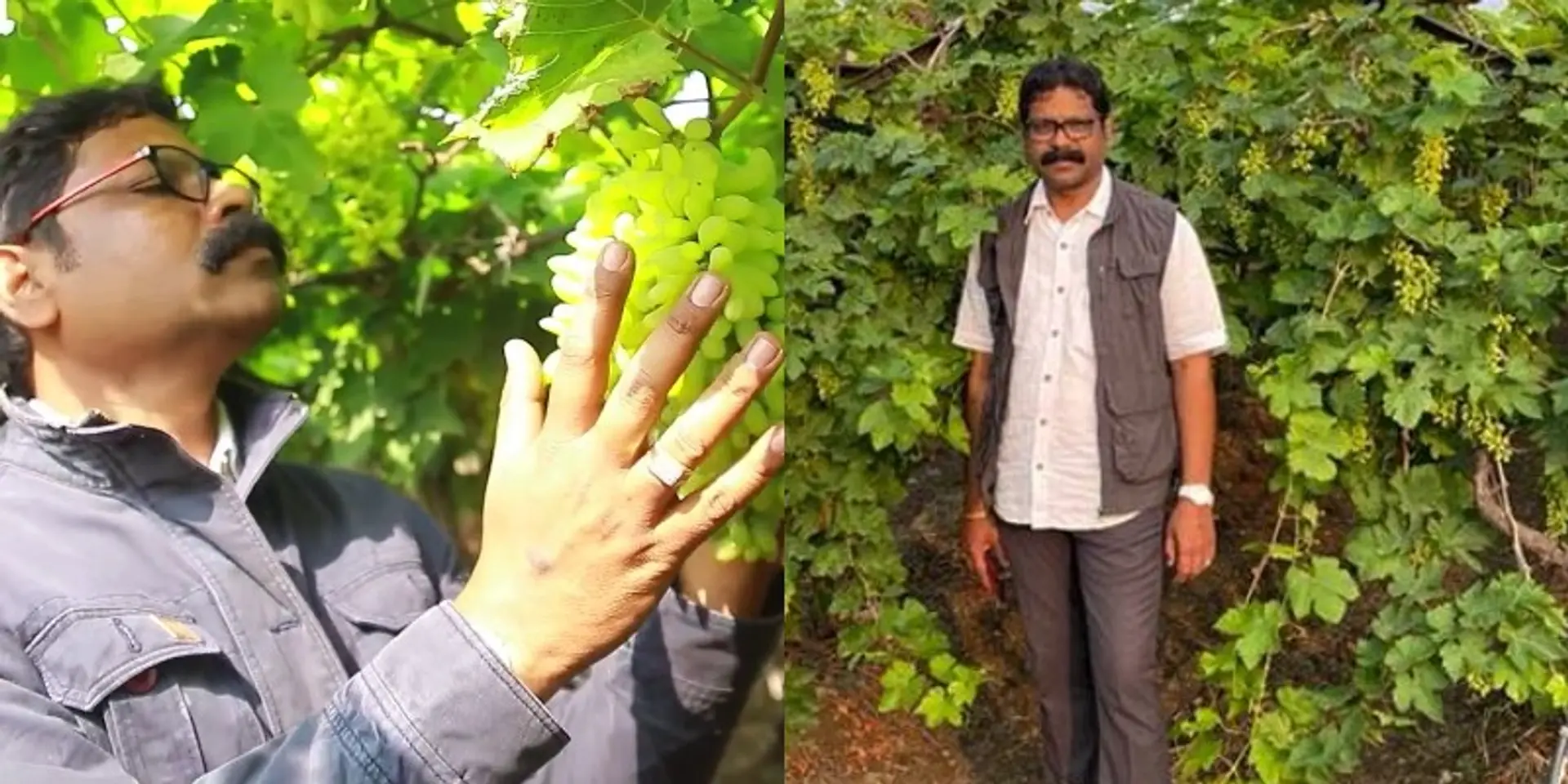 आधुनिक तकनीक के सहारे खेती करते हुए महज कुछ ही सालों में करोड़पति बना गया ये किसान