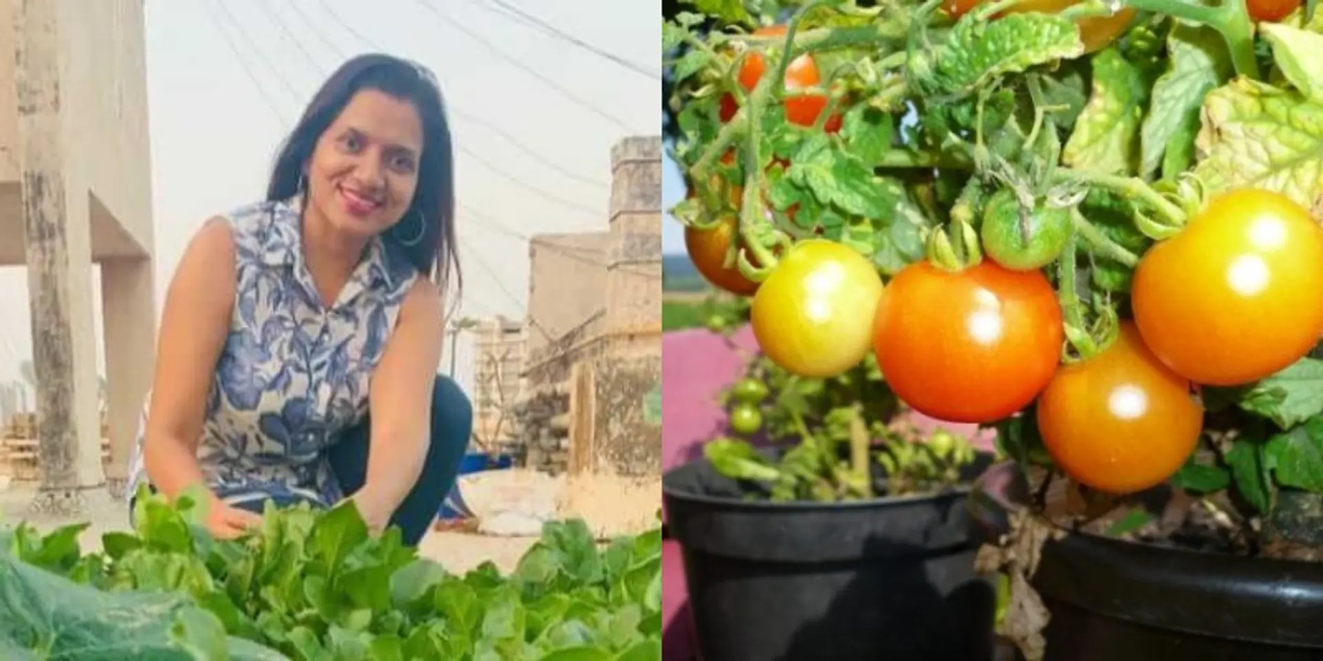 बिल्डिंग की छत को बना डाला ऑर्गेनिक फार्म, आज पूरी सोसाइटी को ऑर्गेनिक सब्जियाँ खिला रही हैं आरती