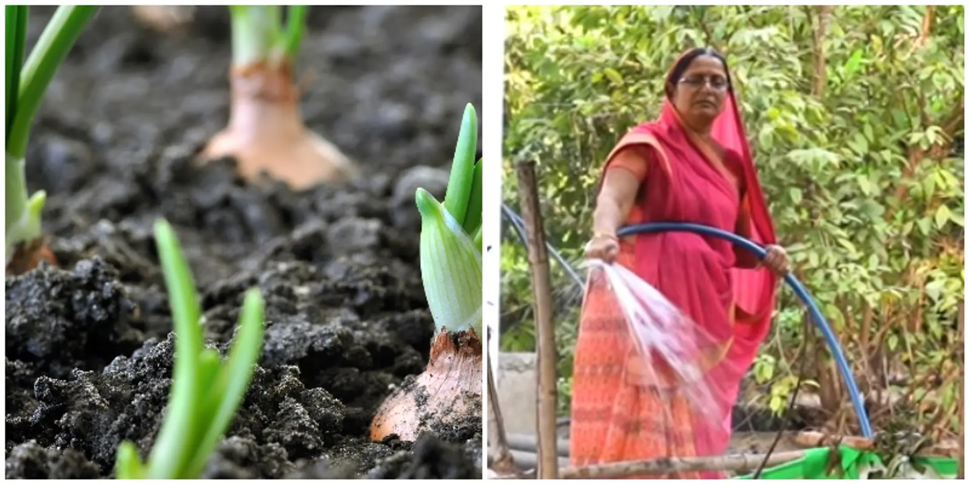 चूल्हा-चौका छोड़ मध्य प्रदेश की ललिता ने शुरू की जैविक खेती, इस बड़े बदलाव के लिए मिल चुका है प्रधानमंत्री पुरस्कार
