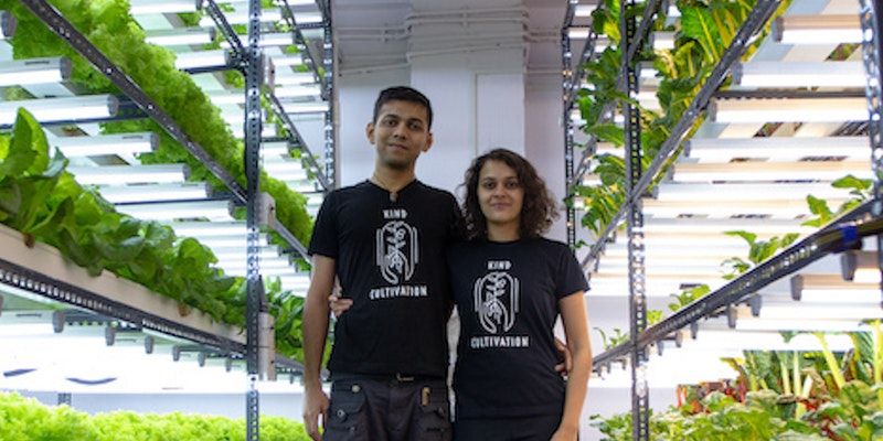 मिलिए मुंबई के कपल से जो ऑर्गैनिक सब्जी उगाकर कमा रहा लाखों