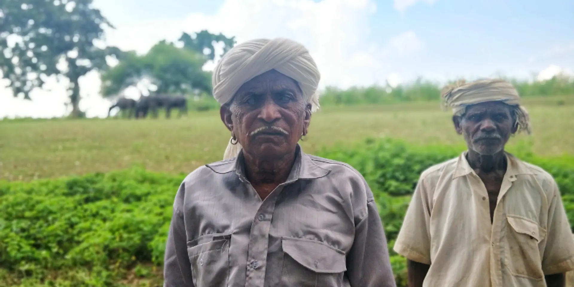 कभी पानी को तरसने वाले किसान साल में उगा रहे तीन फ़सलें, इस एनजीओ ने बदली तस्वीर