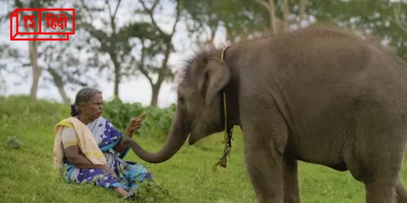 the elephant whispers a short documentary to win academy award 2023 