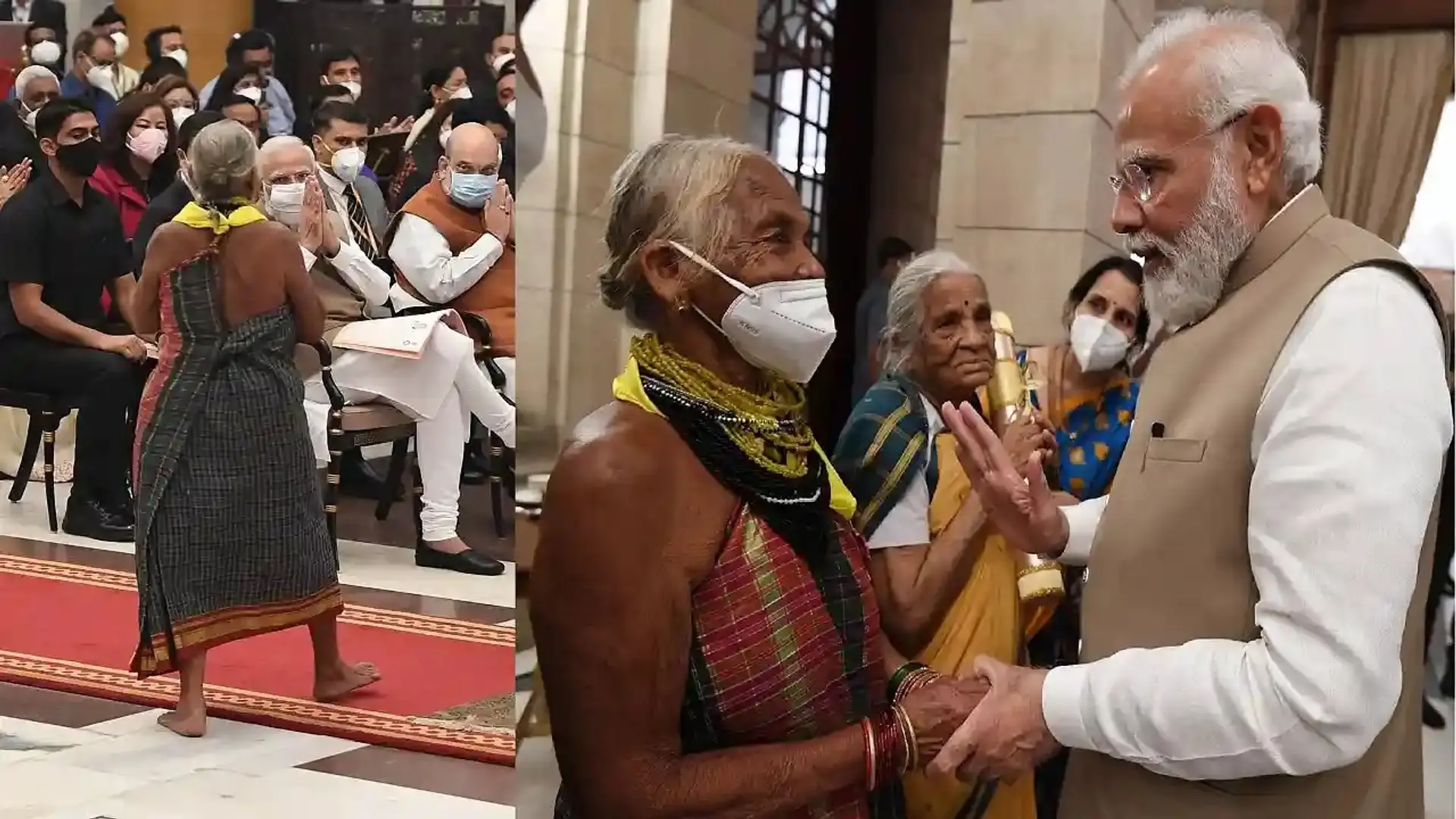 'காட்டின் என்சைக்ளோபீடியா' துளசி கவுடா: பத்ம விருது விழாவில் கவனம் ஈர்த்த சுவாரஸ்யம்!