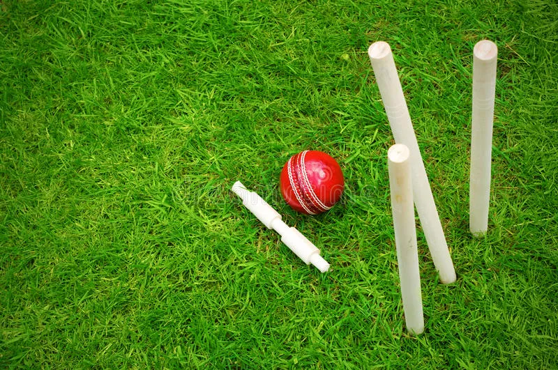 cricket image
