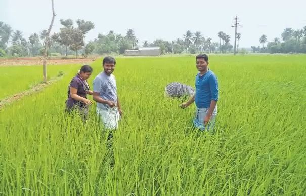 Agri