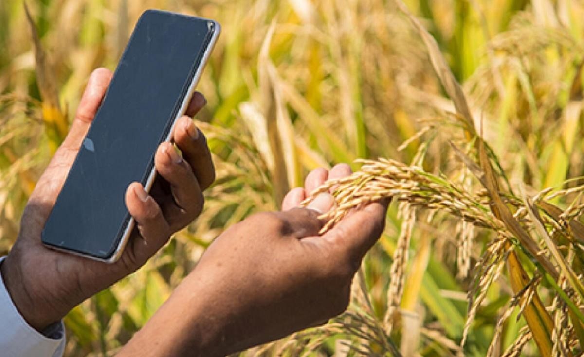 Agri