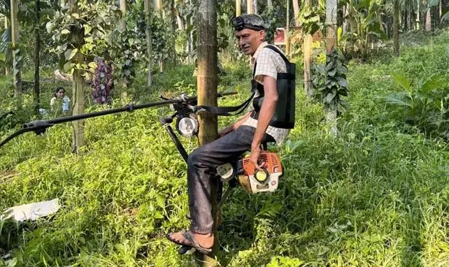 Tree Scooter