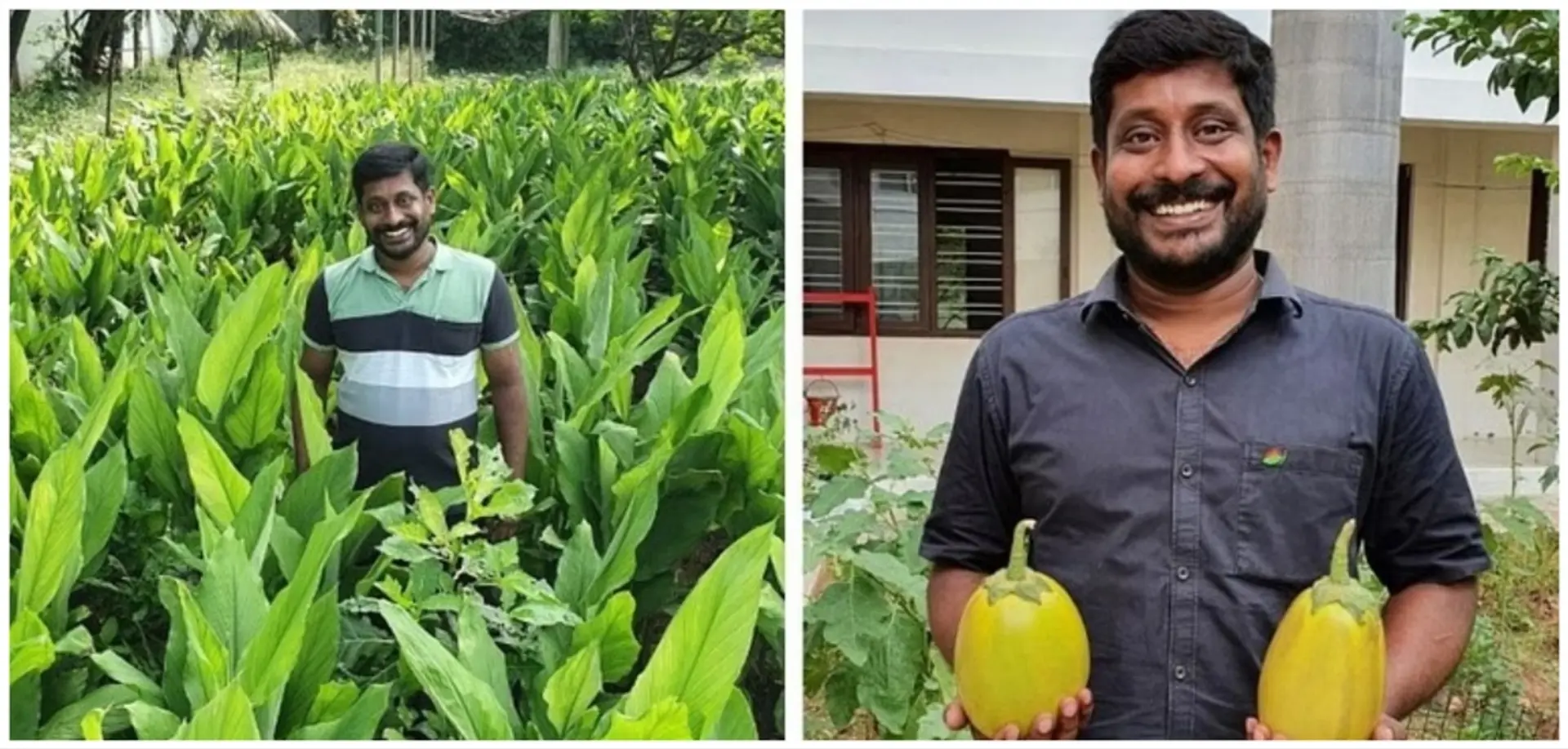 ஆண்டுக்கு 2,000 கிலோ அரிய வகை காய்கறி வளர்ப்பு; இயற்கை விவசாயியாக மாறிய கோவை இன்ஜினியர்!