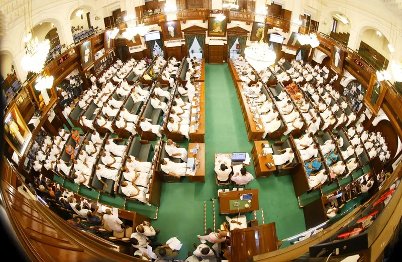 TN Assembly