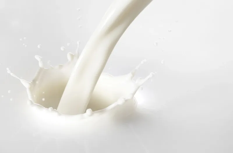 Milk