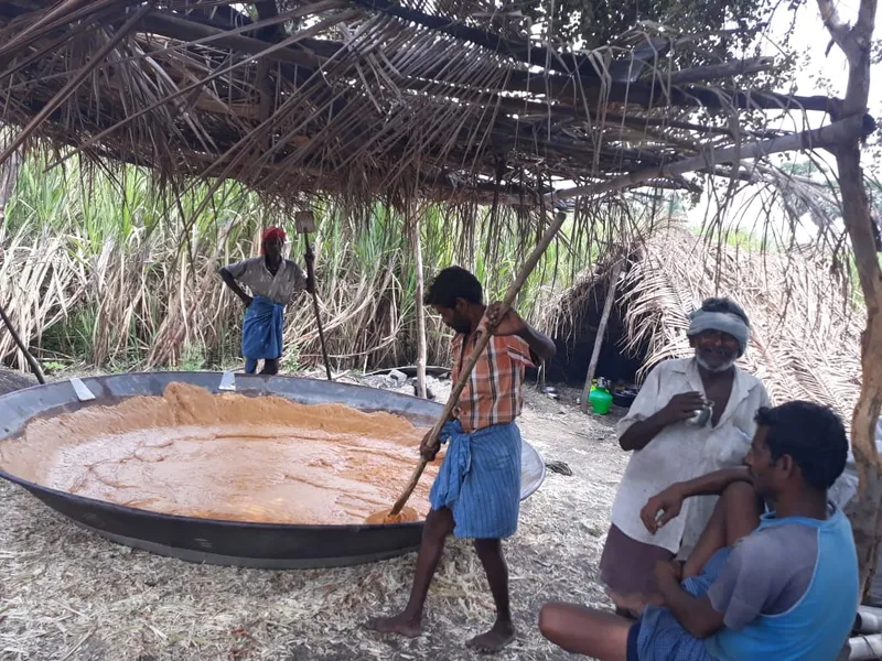 கரும்பு