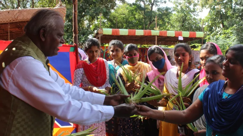 கற்றாழை5