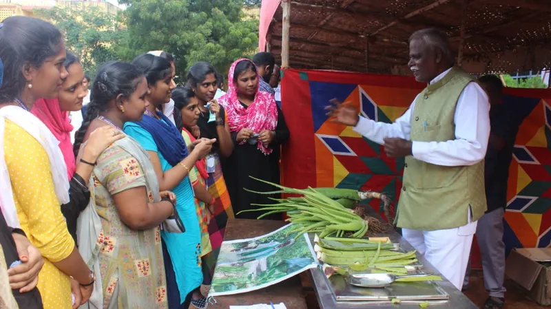 கற்றாழை3