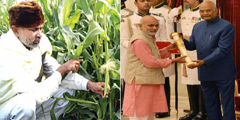 பேபி கார்ன் விவசயாத்தை இந்தியாவிற்கு அறிமுகப்படுத்தி இன்று கோடியில் சம்பாதிக்கும் விவசாயி!