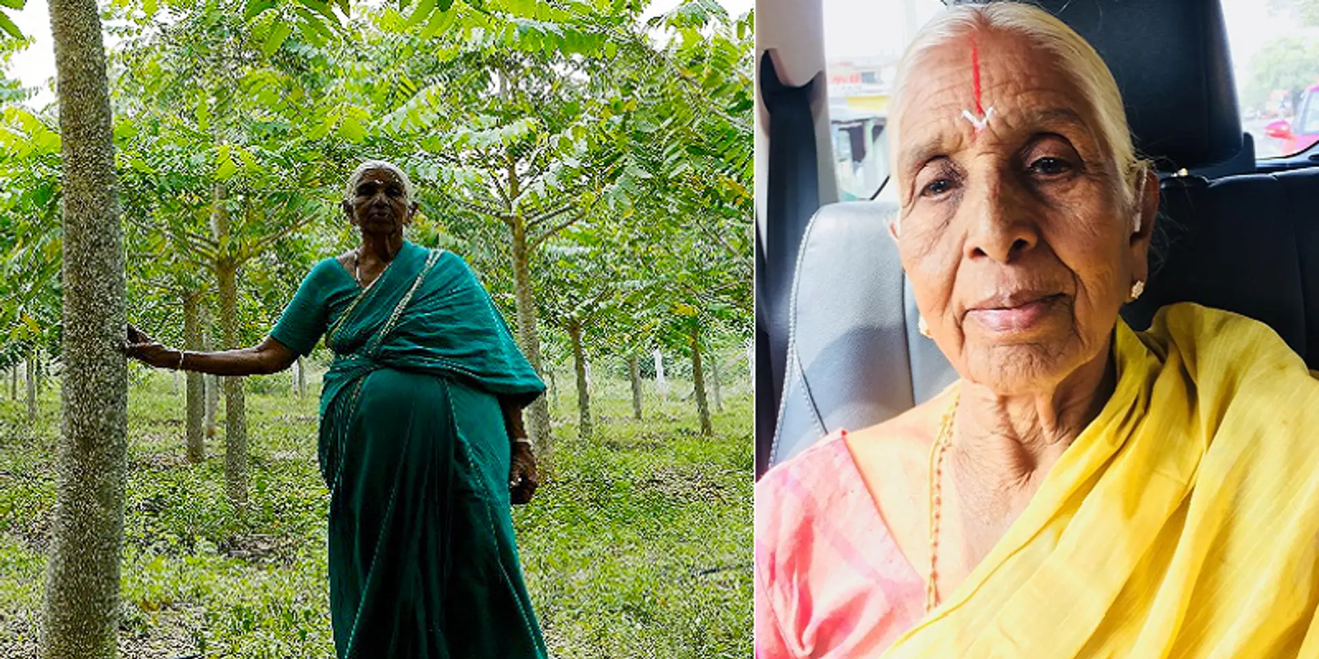 ஓய்வு ஊதியத்தில் ஓர் காட்டையே உருவாக்கிய ஆசிரியை: மரங்களை குழந்தைகளாக பாவிக்கும் தாயம்மாள்!