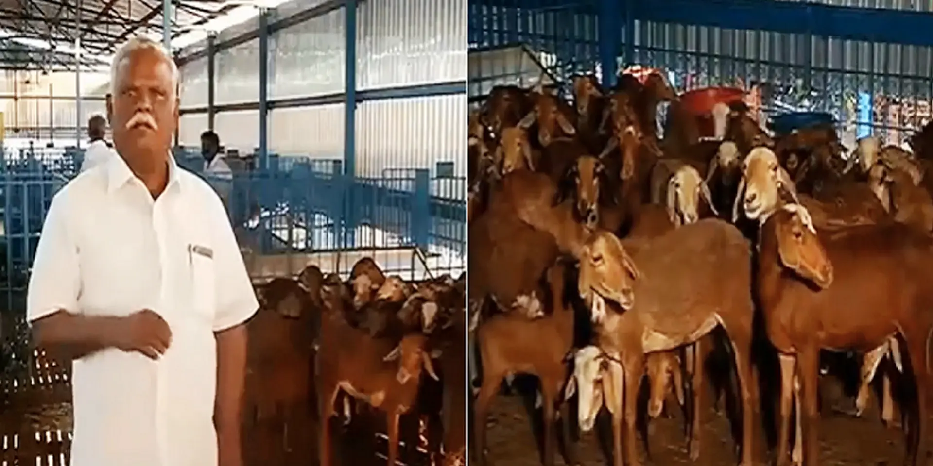 ஆடு வளர்ப்பில் ரூ.1 கோடி வருமானம்: அசத்தும் ஓய்வு பெற்ற அதிகாரி!