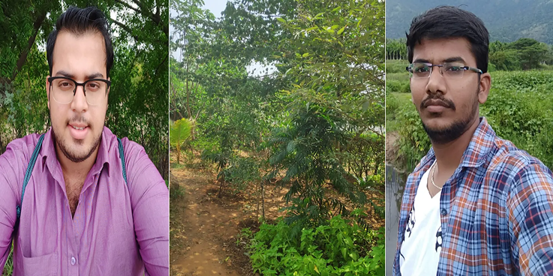 காடுகள் வளர்ப்பில் கலக்கும் கணிப்பொறி பொறியாளர்கள்...