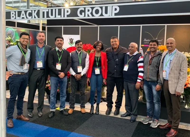 bt group