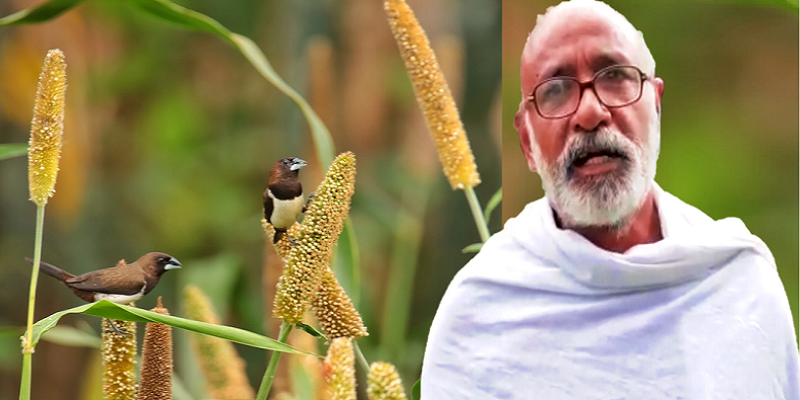 சொந்த நிலத்தில் ‘பறவைகள் சரணாலயம்’ அமைத்துள்ள கோவை இயற்கை விவசாயி!
