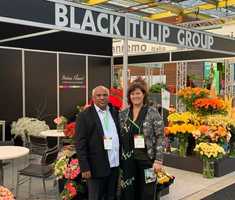 black tulip