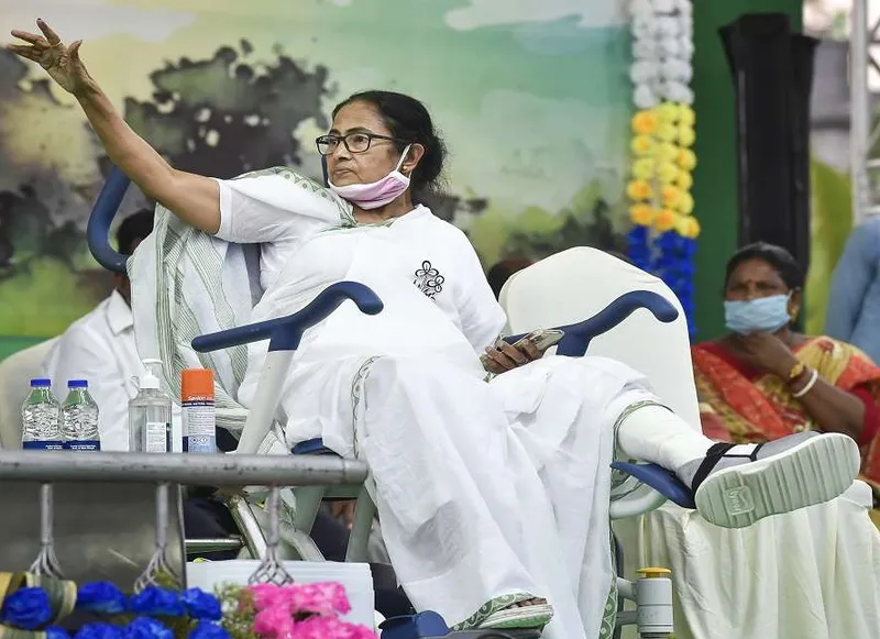 didi mamta