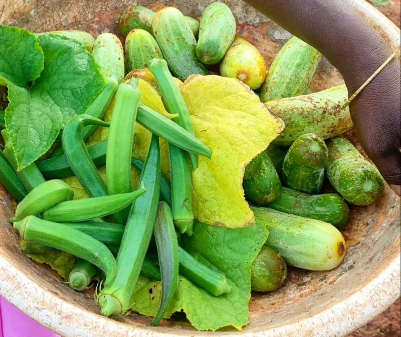 organic vegetables