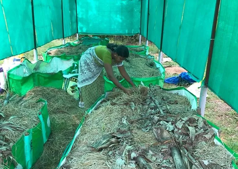 vermicompost